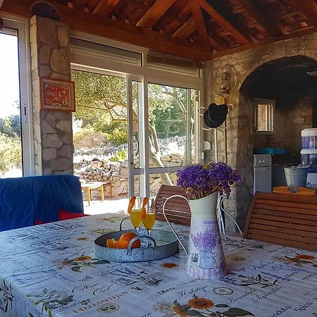 Holiday home Holiday Utula Veliki Drvenik